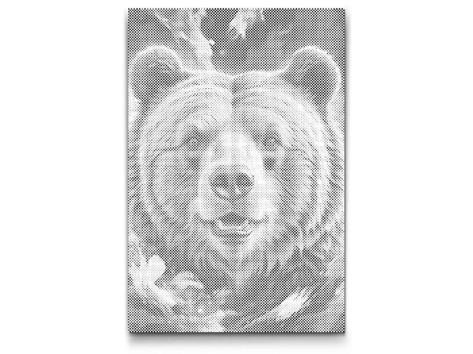 Medvjed u nijansama tamnotirkizne - Dottingo