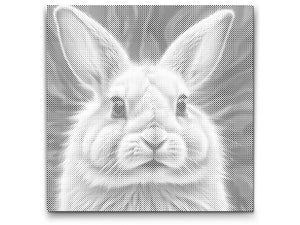 Zec u nijansama ružičaste - Dottingo