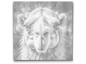 Kamila u nijansama crvene i plave - Dottingo