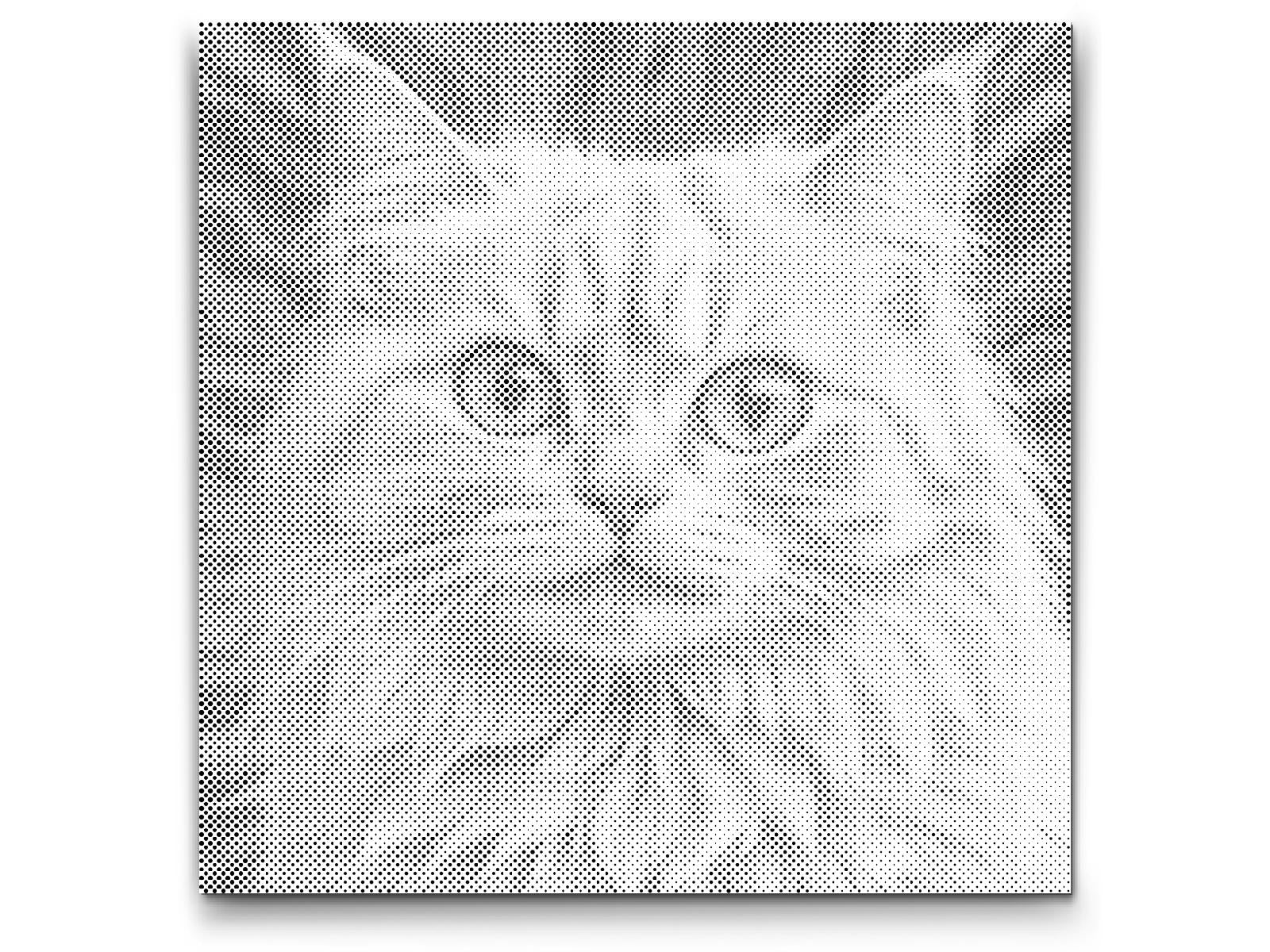 Mačka u nijansama ružičaste - Dottingo