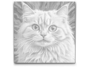 Mačka u nijansama ružičaste - Dottingo