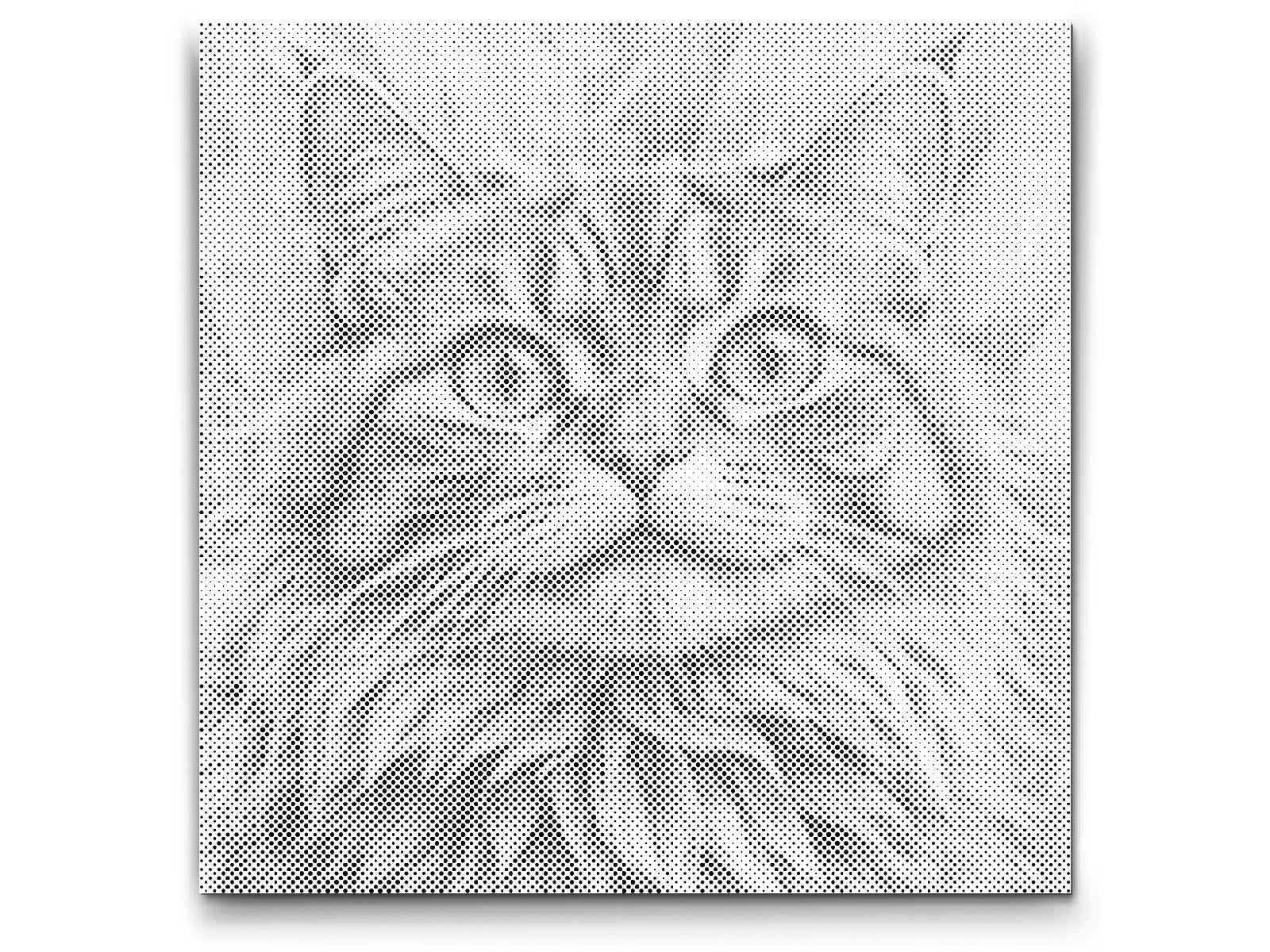 Mačka u nijansama tirkizne i narančaste - Dottingo