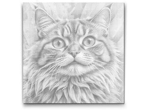 Mačka u nijansama tirkizne i narančaste - Dottingo