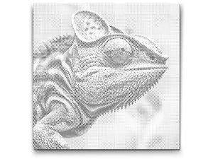 Kameleon u nijansama ružičaste - Dottingo