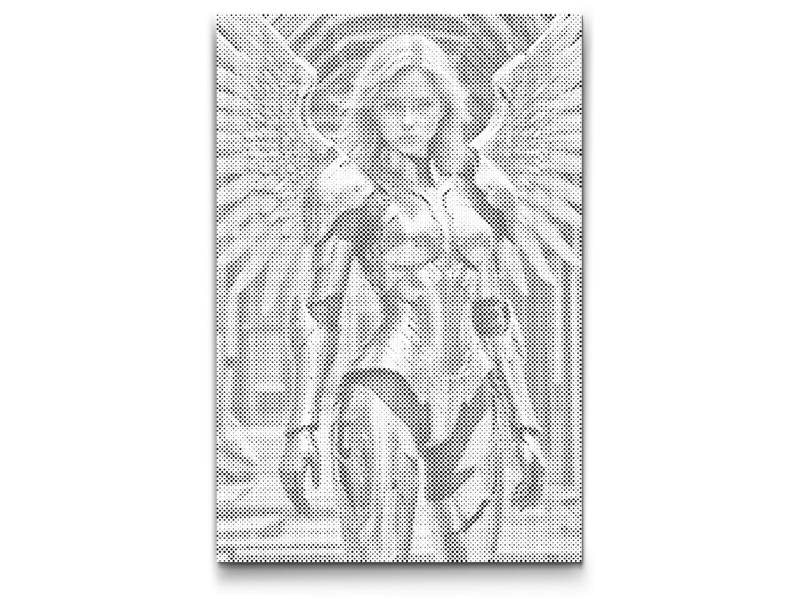 Anđeo u metalnom oklopu - Dottingo