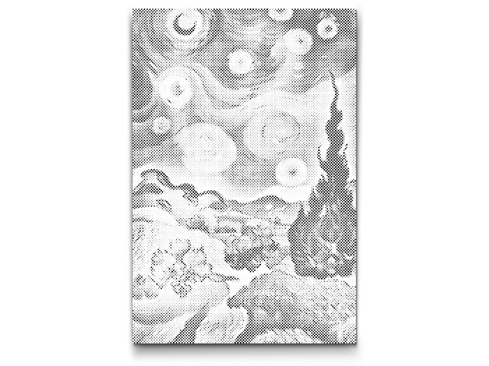 Pšenično polje sa zvjezdanim nebom - Dottingo