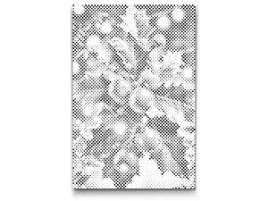 Grančica božikovine - Dottingo