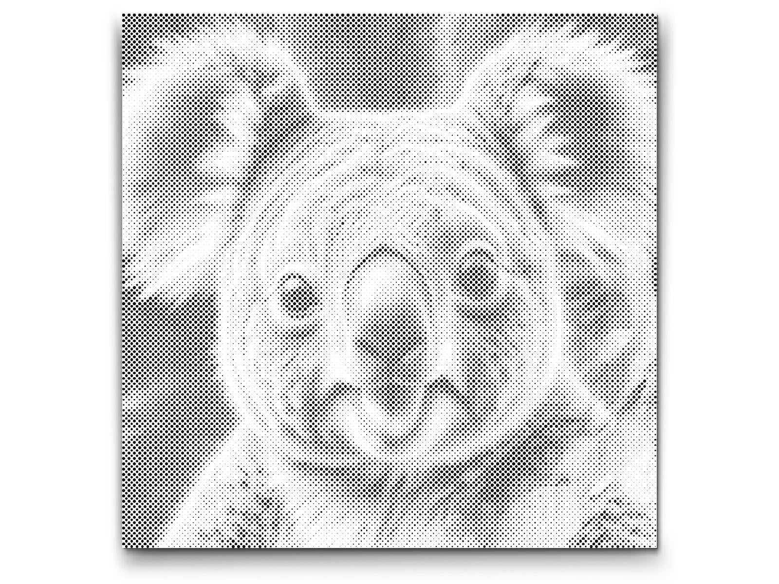 Koala u nijansama tirkizne i narančaste - Dottingo