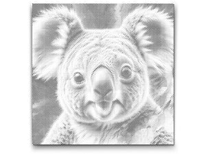 Koala u nijansama tirkizne i narančaste - Dottingo