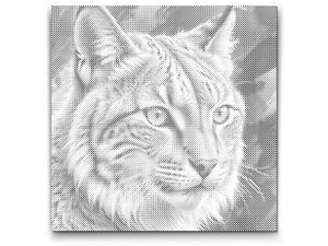 Ris u nijansama prigušene zelene - Dottingo