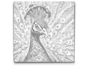 Paun u nijansama tirkizne i narančaste - Dottingo