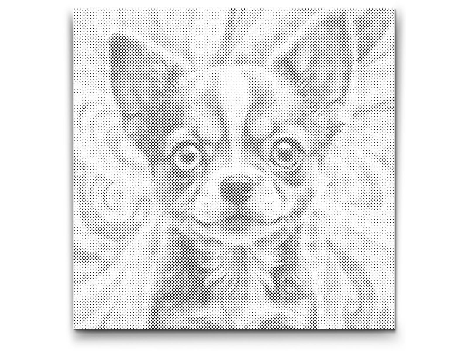 Štene u nijansama tirkizne i narančaste - Dottingo