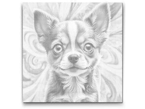 Štene u nijansama tirkizne i narančaste - Dottingo