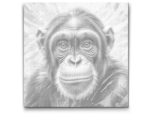 Čimpanza u nijansama ružičaste - Dottingo