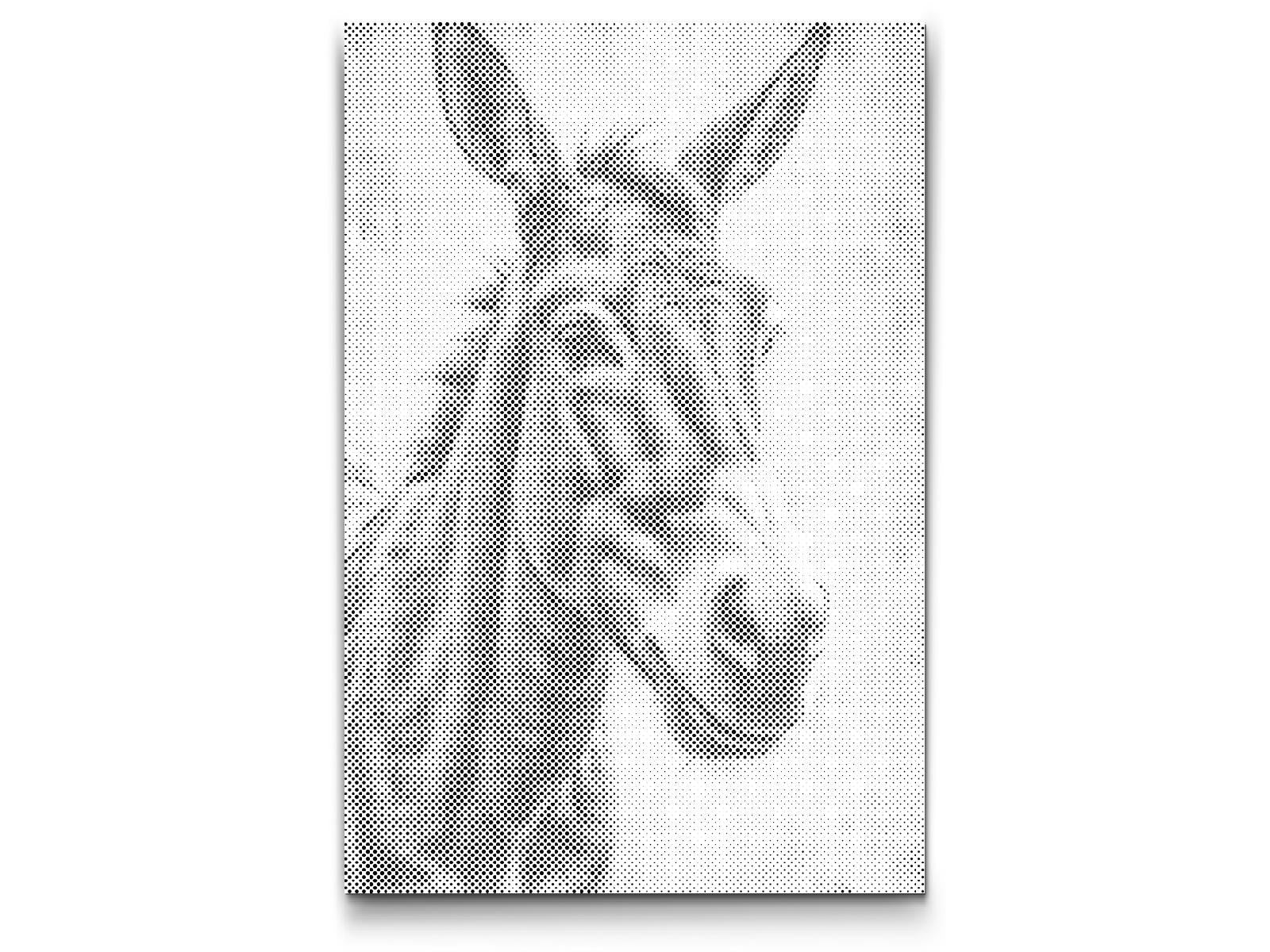 Magarac u nijansama tamnotirkizne - Dottingo