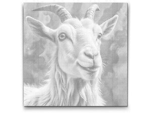 Koza u nijansama tirkizne i narančaste - Dottingo