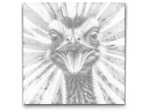 Noj u nijansama crvene i plave - Dottingo