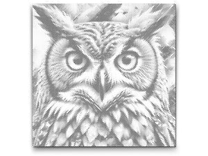 Sova u nijansama prigušene zelene - Dottingo