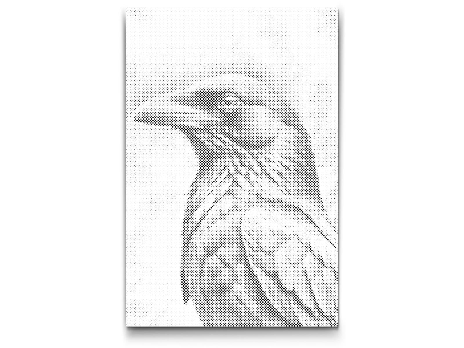 Gavran u nijansama tamnotirkizne - Dottingo