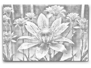 Robotski cvijet - Dottingo