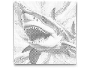 Morski pas u nijansama tirkizne i narančaste - Dottingo