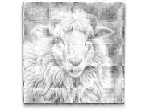 Ovce u nijansama tirkizne i narančaste - Dottingo