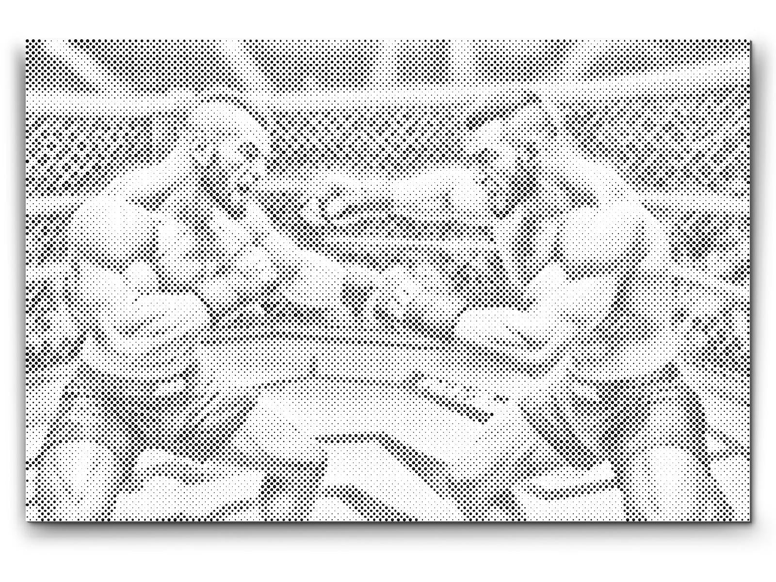 MMA hrvači - Dottingo