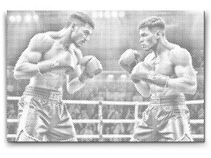 Boksači tijekom meča - Dottingo