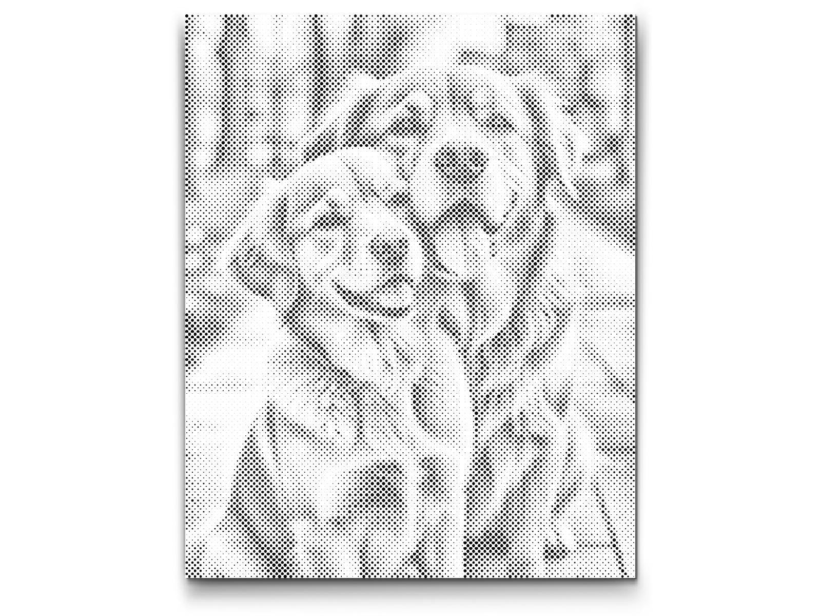 Zaljubljeni psi - Dottingo