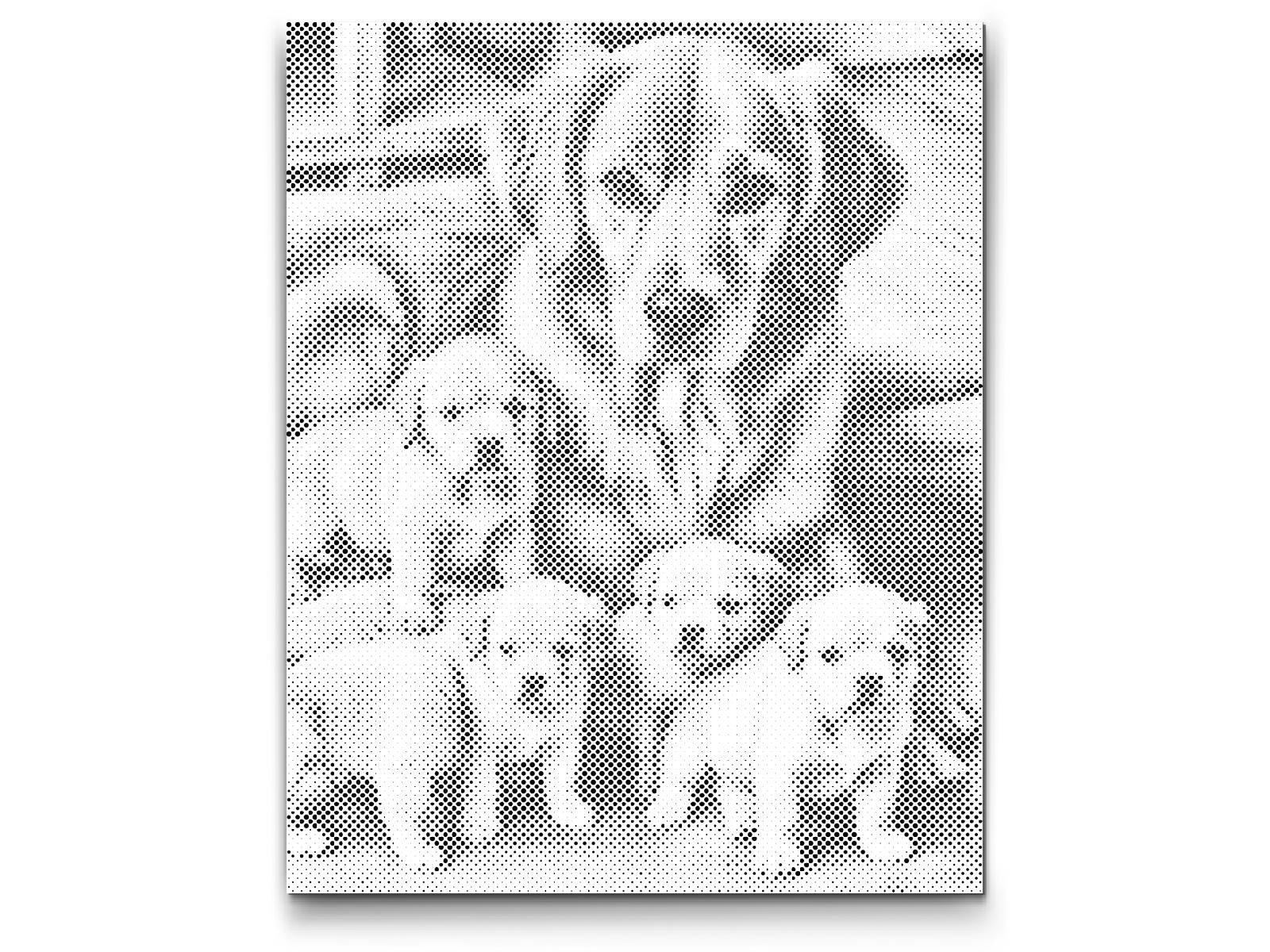 Zlatni retriver i štenci - Dottingo