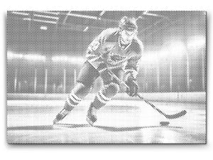 Hokej na ledu - Dottingo