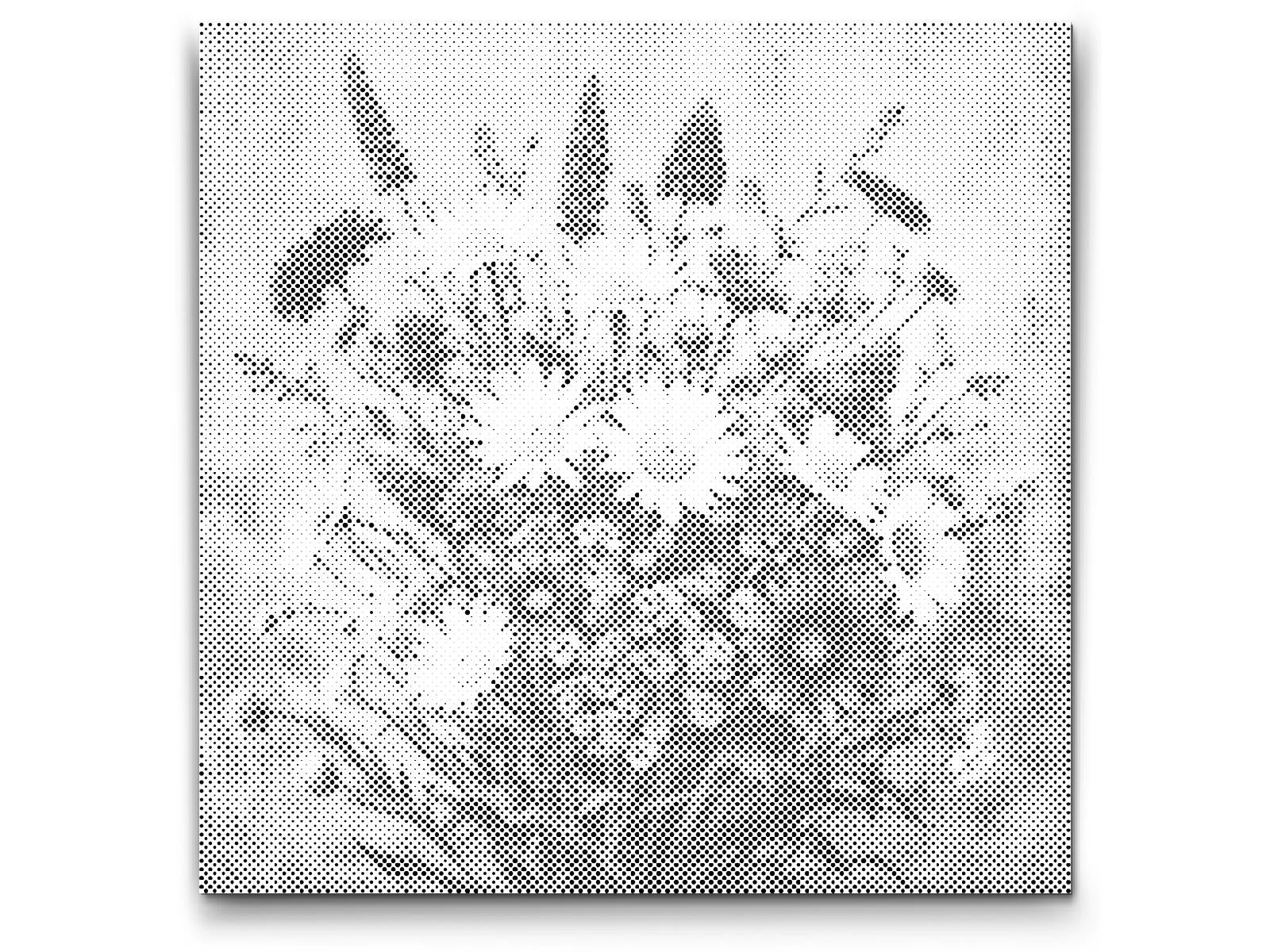 Buket livadskog cvijeća - Dottingo