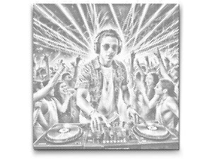 DJ na koncertu - Dottingo