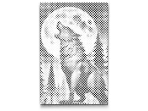 Vuk u noći - Dottingo