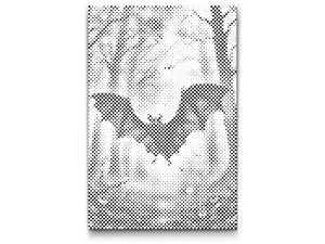 Šišmiš u šumi - Dottingo