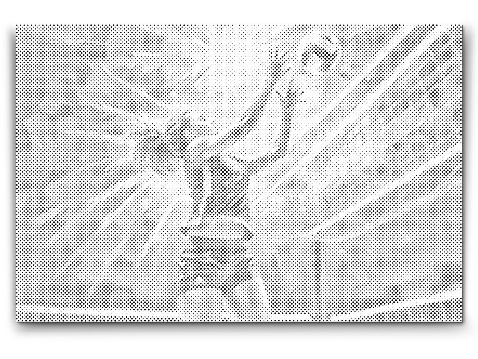 Odbojkaš - Dottingo