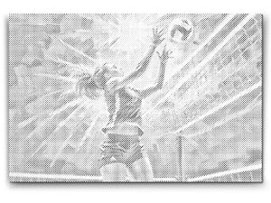 Odbojkaš - Dottingo