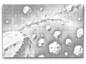 Pojas asteroida - Dottingo