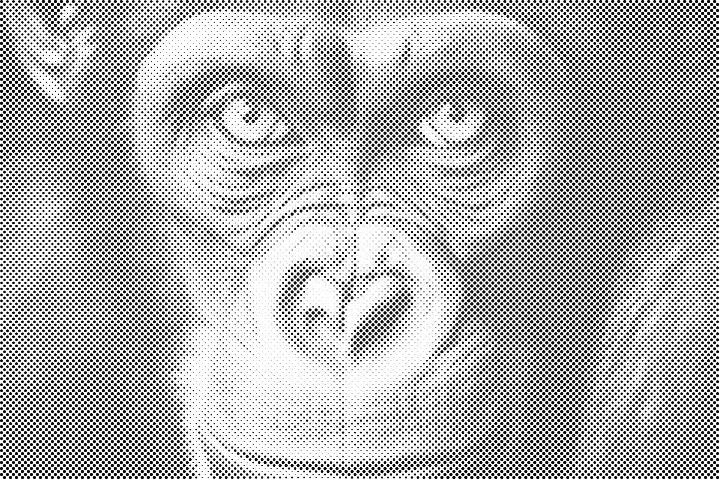 Čimpanza izbliza - Dottingo