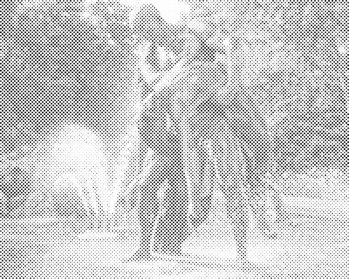 Fontana Bydgoszcz, Poljska - Dottingo