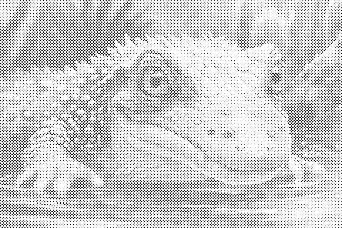 Mali krokodil - Dottingo