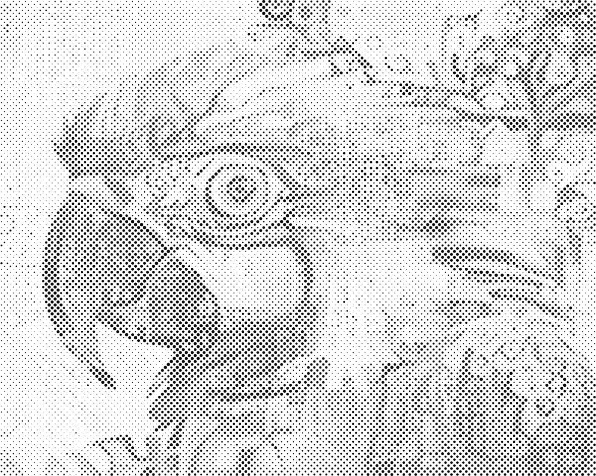 Glava papagaja - Dottingo