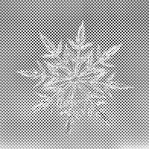 Ledena pahuljica 2 - Dottingo