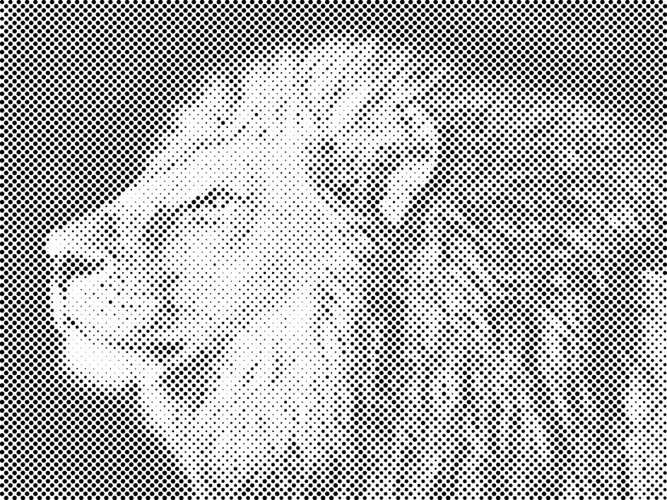 Lavova glava - Dottingo