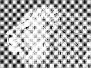 Lavova glava - Dottingo