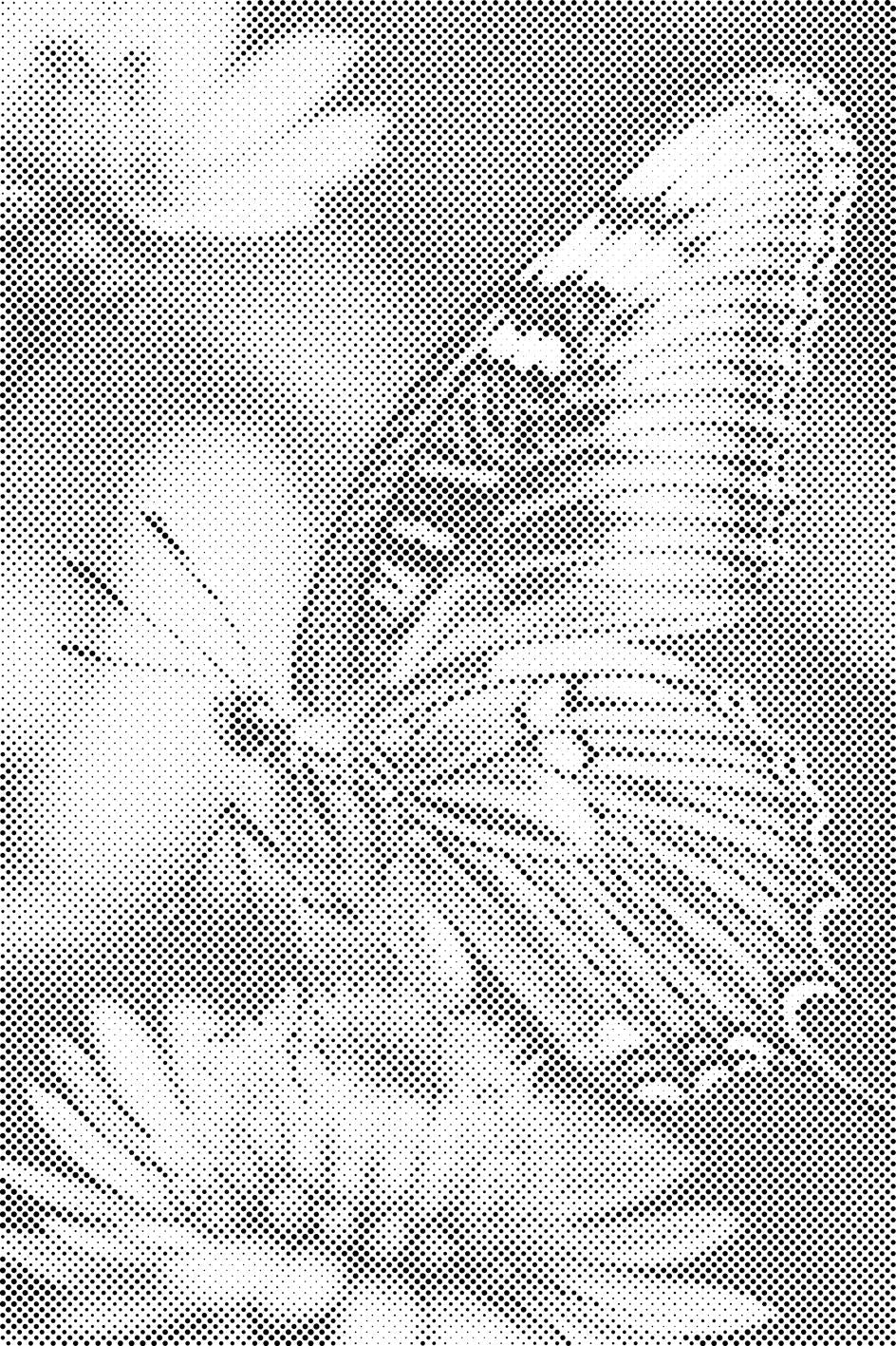 Leptir na cvijetu - Dottingo