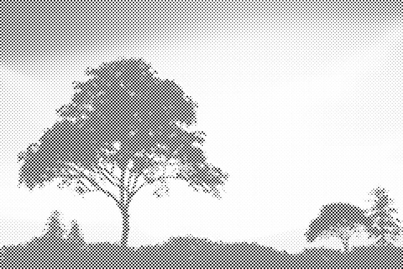 Priroda u zalasku sunca - Dottingo