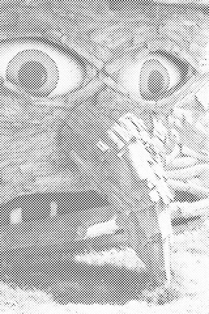 Donovaly Habakuky - Dottingo