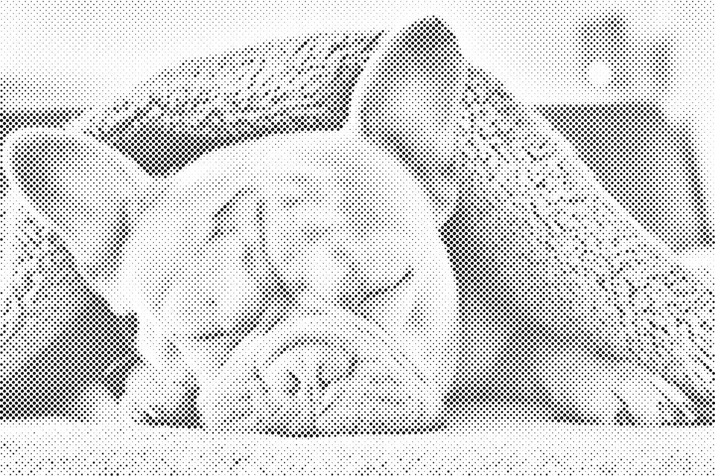 Umorni buldog - Dottingo