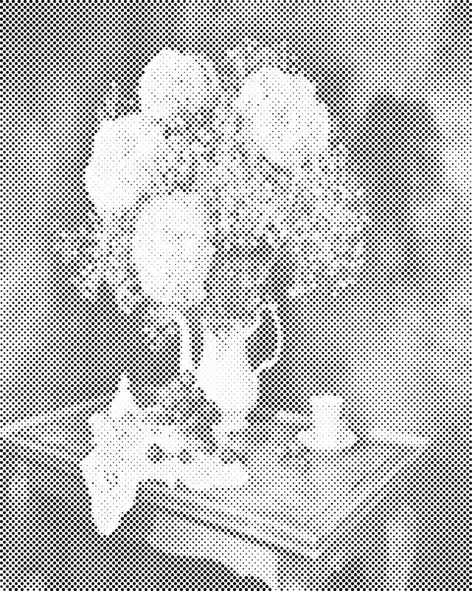 Buket hortenzija - Dottingo